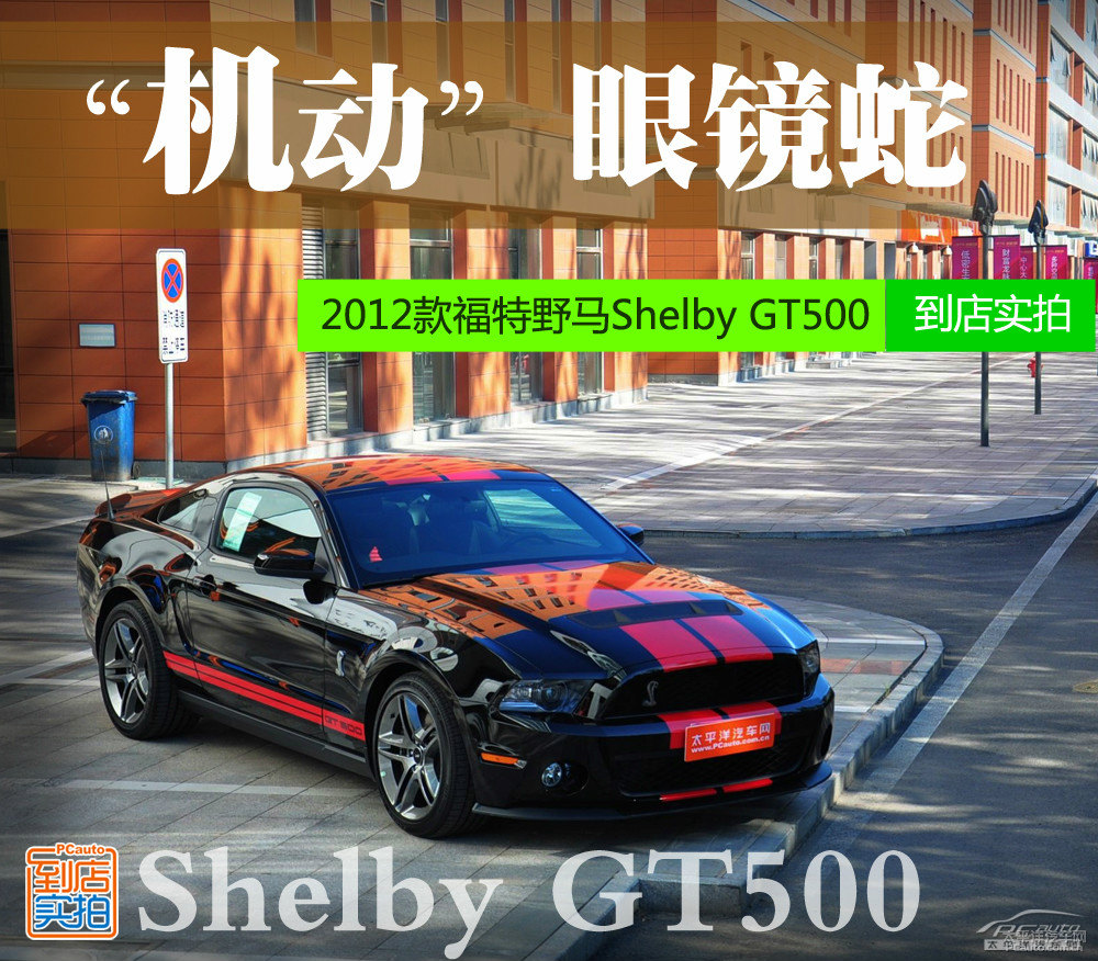 MustangDƬ