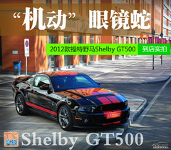C(j)(dng)RߡҰRShelby GT500ꌍ(sh)