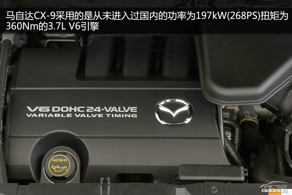 科帕奇(進(jìn)口)圖解高清大圖