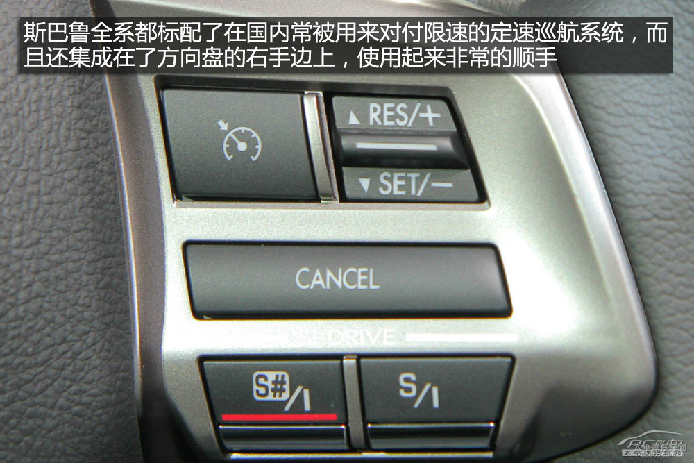 森林人圖片