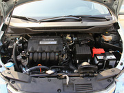 2013 1.3L (bio)(zhn)