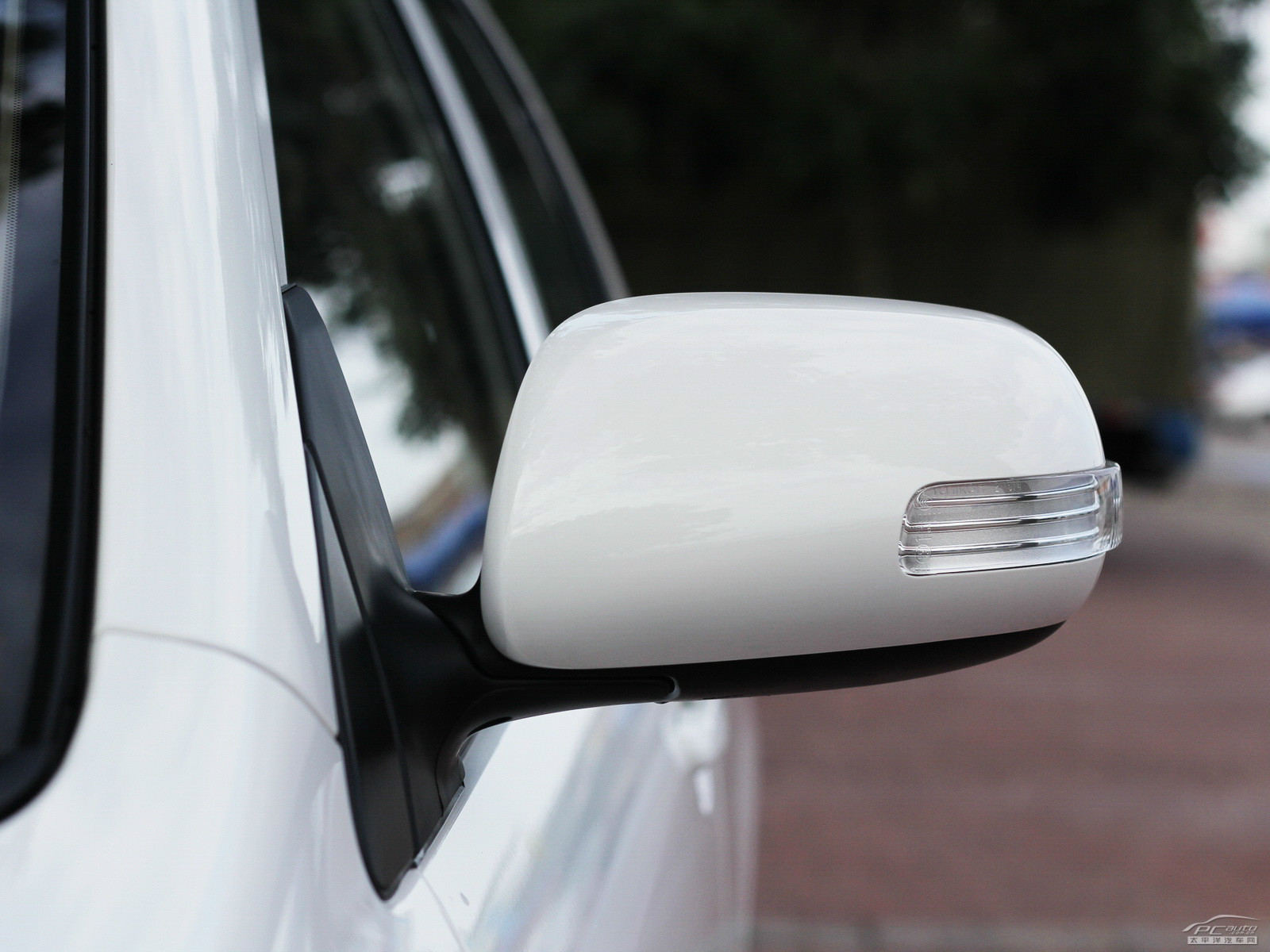 花冠外觀高清大圖