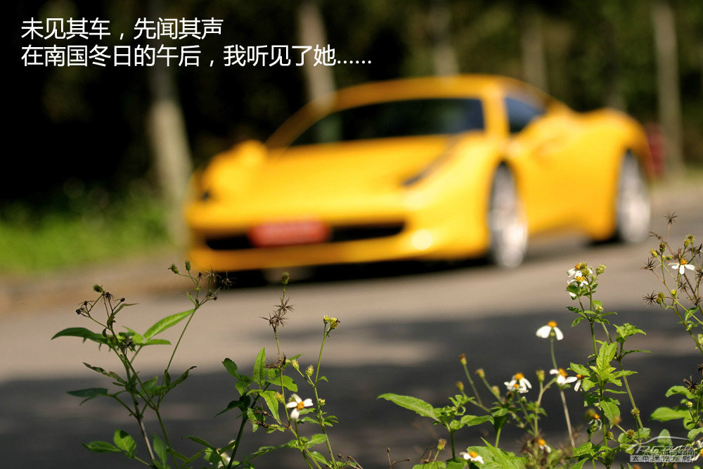 458DƬ