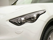 2013 FX37 (bio)(zhn)