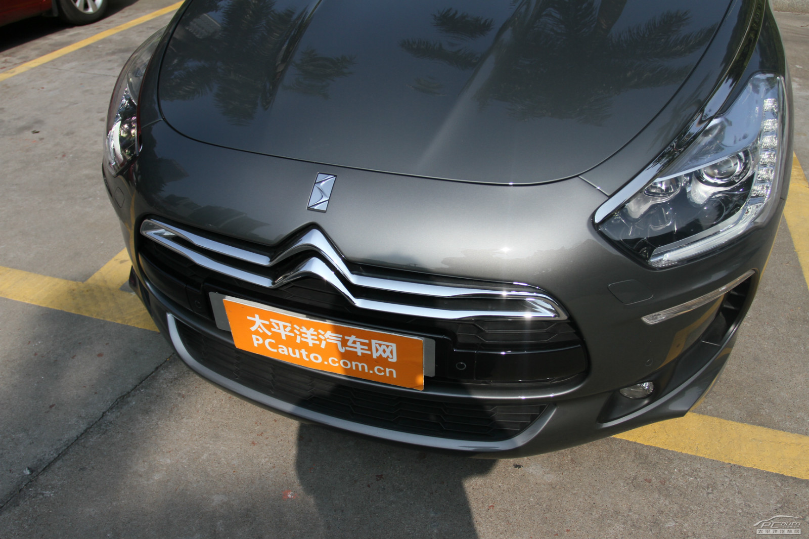 DS 5(進口)外觀高清大圖