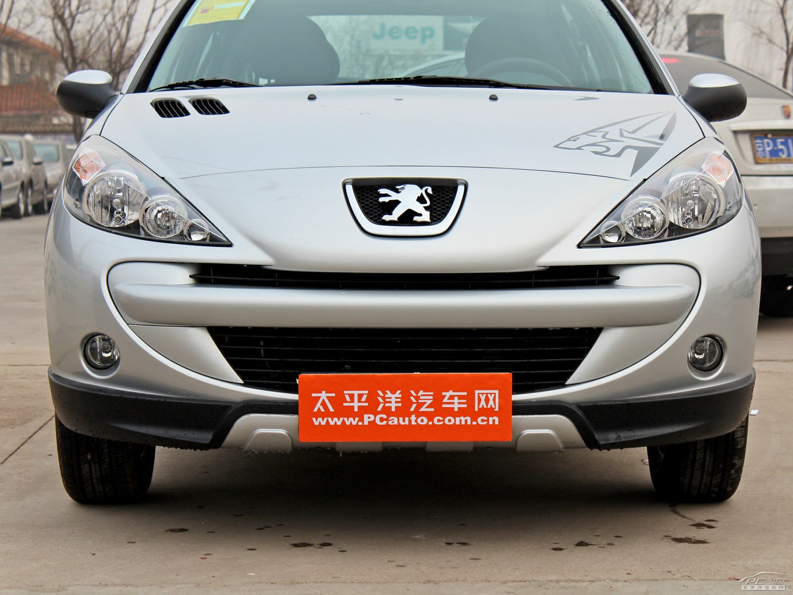 標(biāo)致207外觀高清大圖