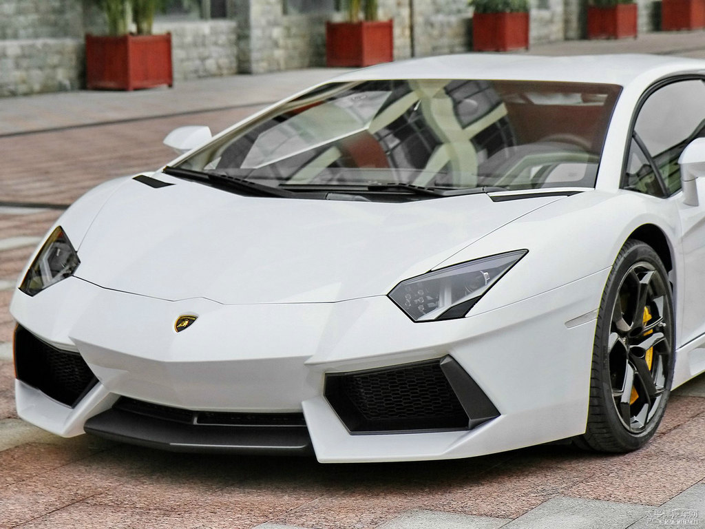 白色Aventador車頭外觀圖片