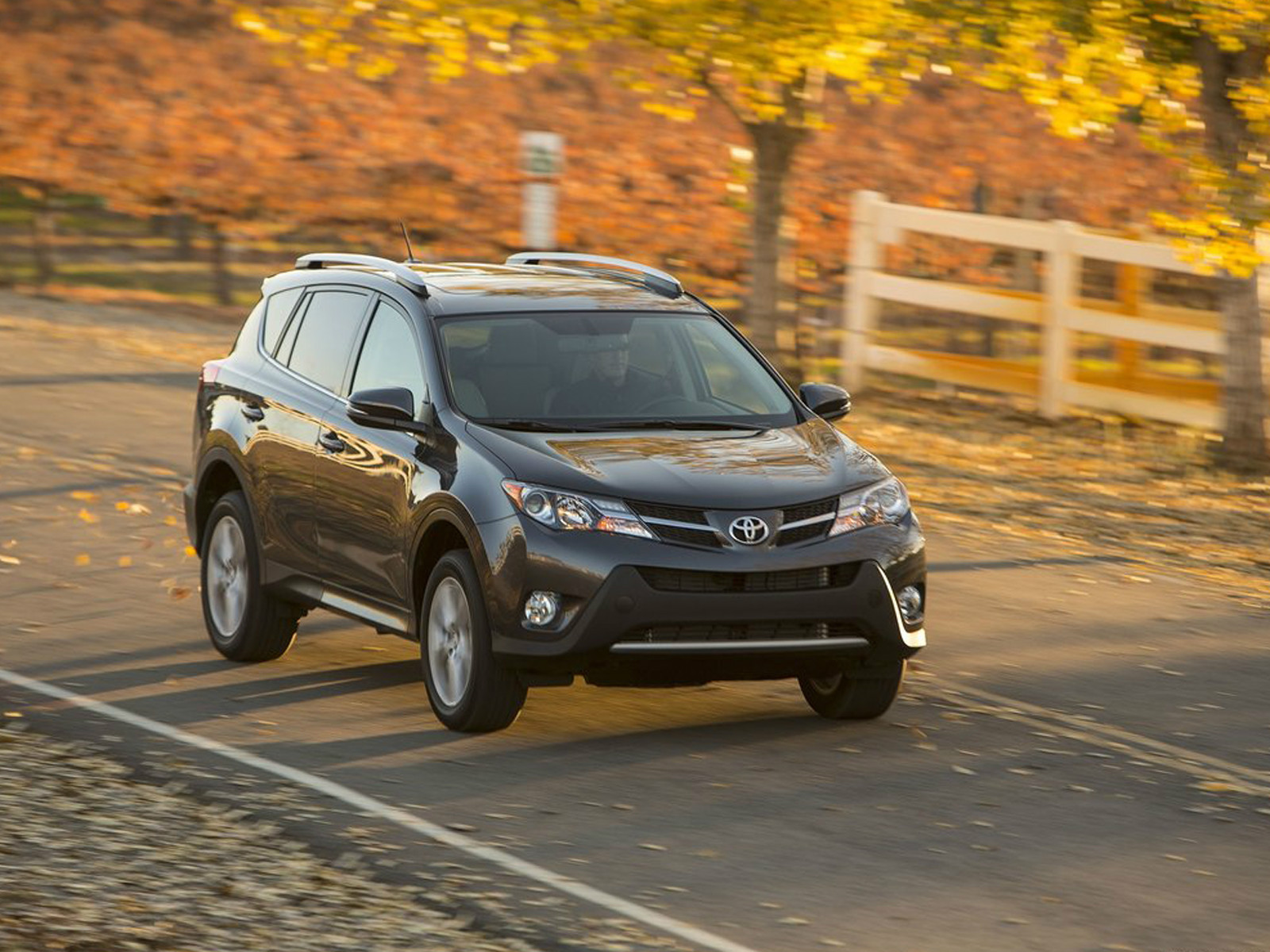 豐田RAV4(海外)外觀高清大圖