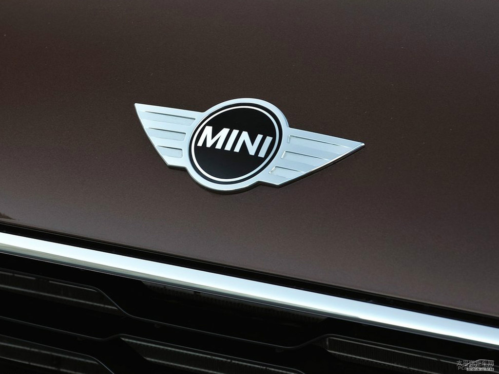 MINI PACEMAN^DƬ