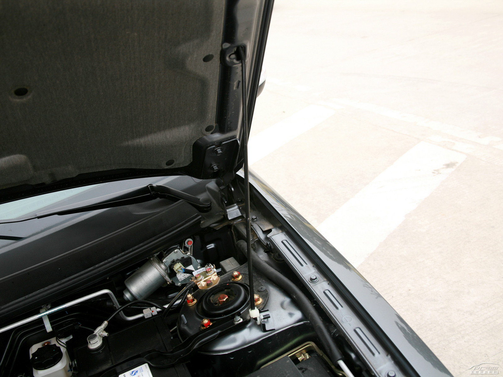 福美來(lái)細(xì)節(jié)高清大圖