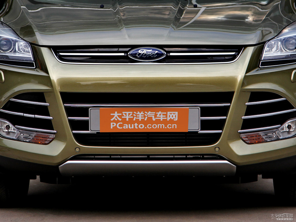 琥珀金翼虎車頭外觀圖片
