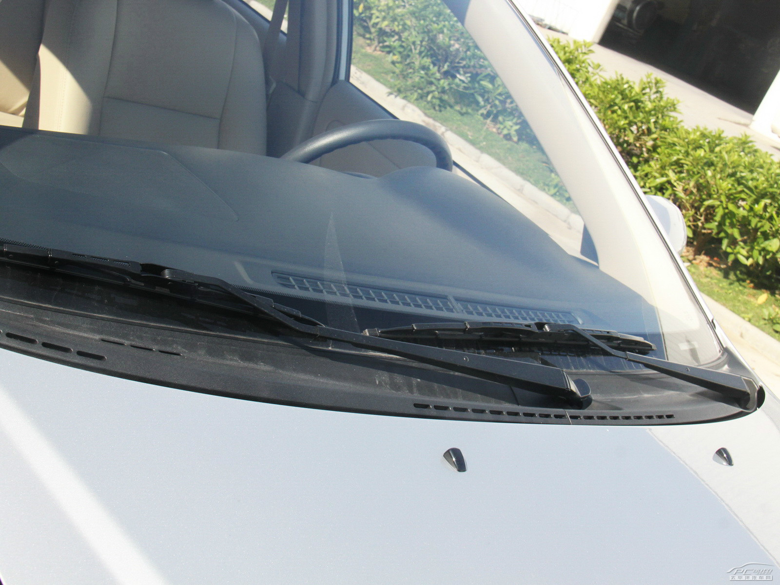 花冠外觀高清大圖