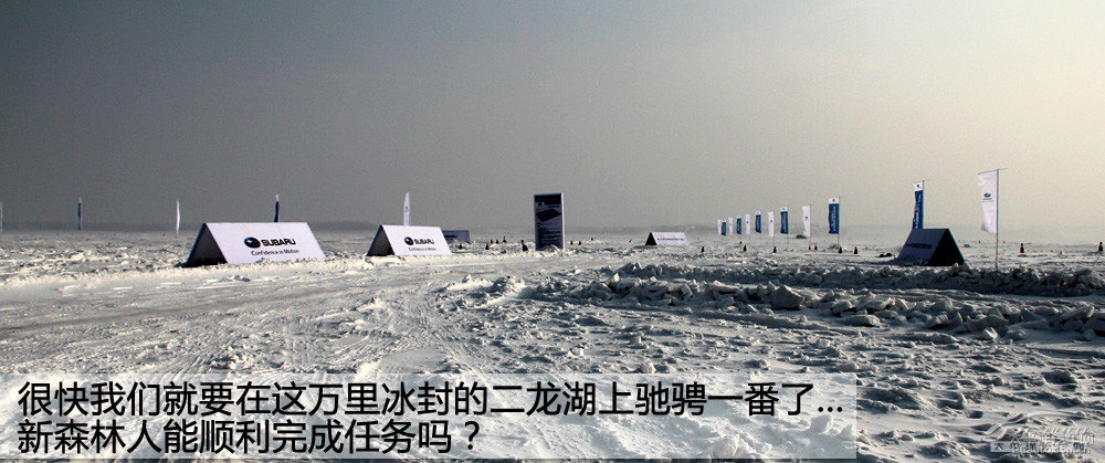 森林人圖片