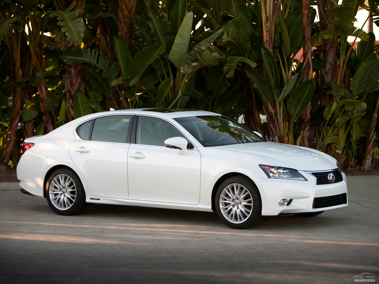 雷克薩斯GS外觀高清大圖