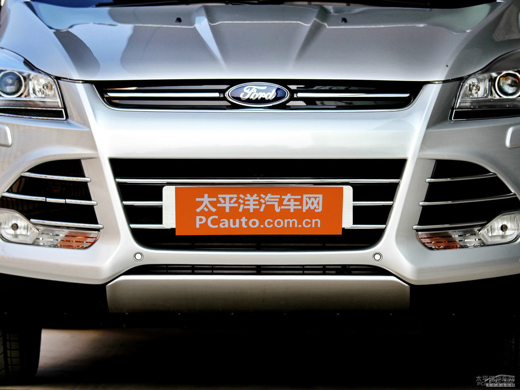 閃耀銀翼虎車頭外觀圖片
