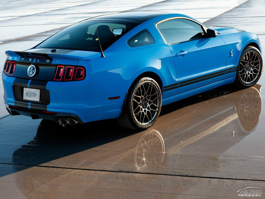 {(ln)Mustang܇^^DƬ