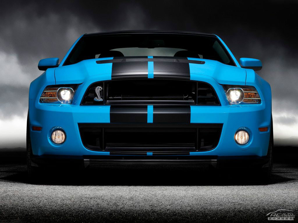 {(ln)Mustang܇^^DƬ