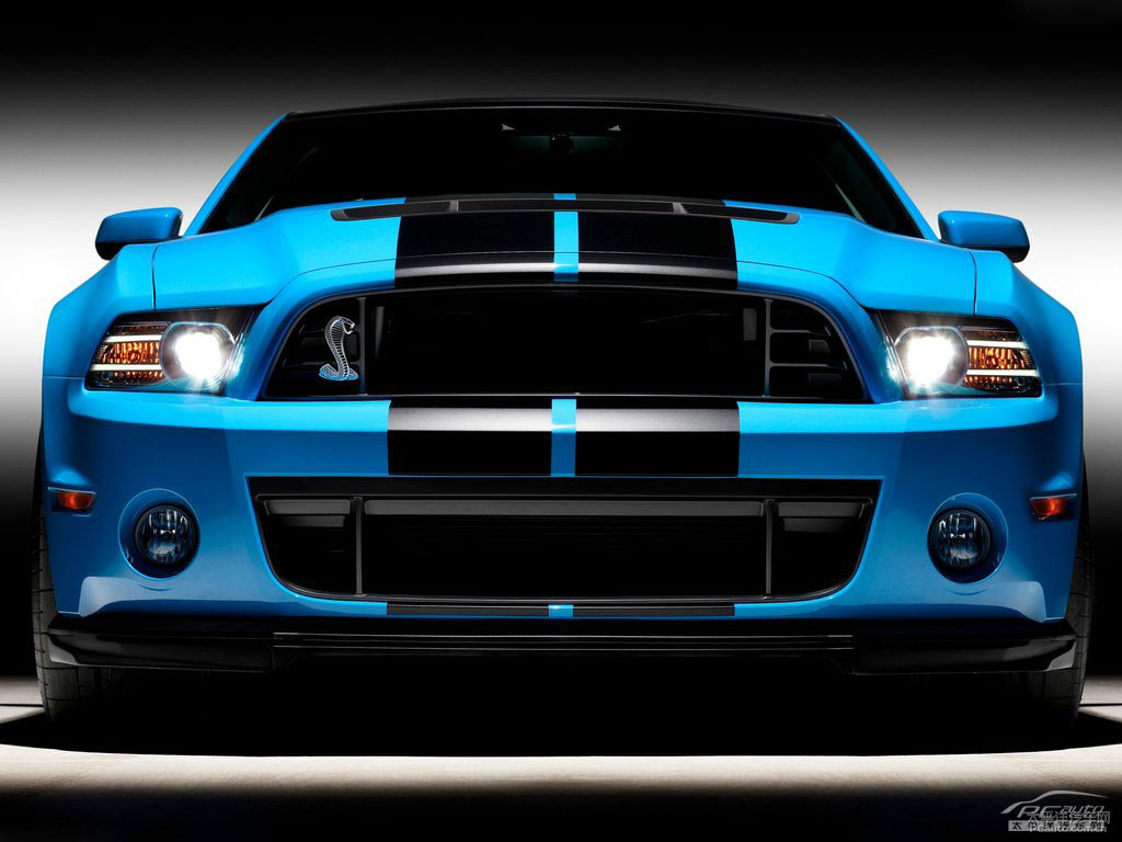 {(ln)Mustang܇^^DƬ