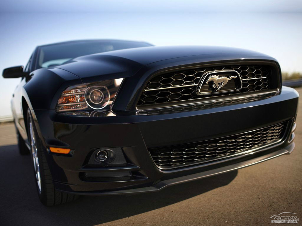 Mustang^DƬ