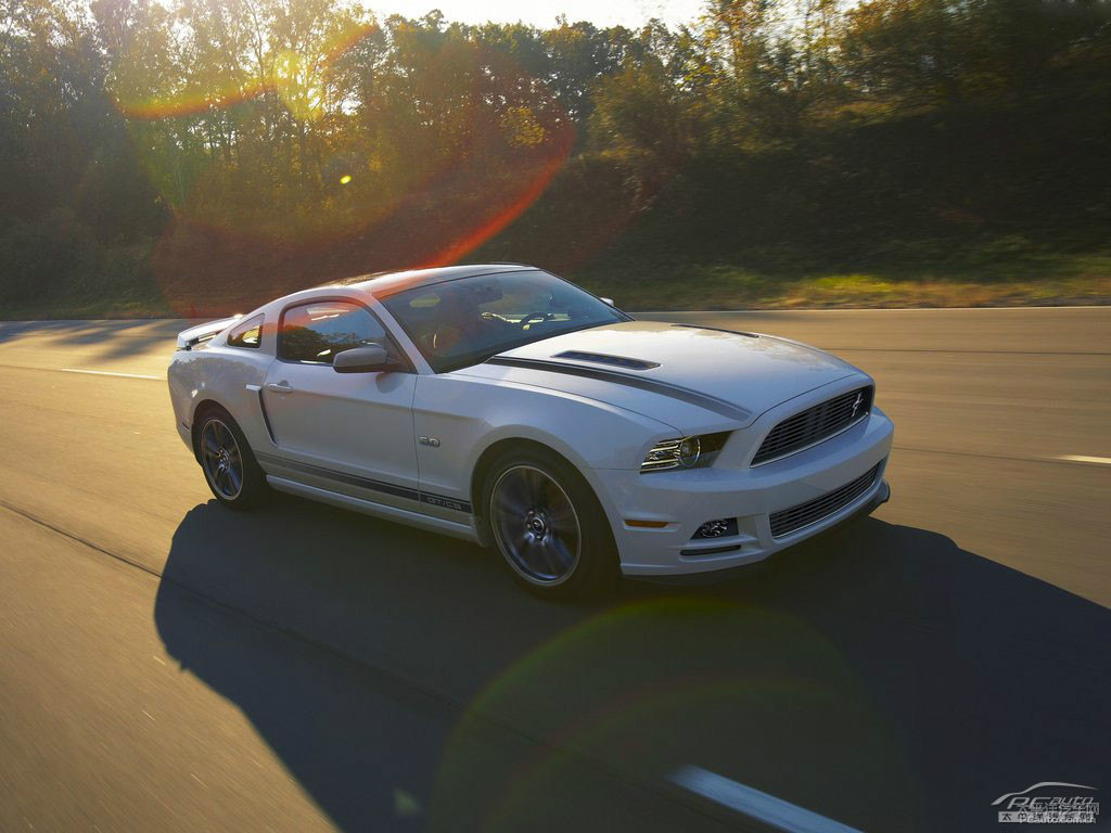 ܰ׸Mustang^DƬ