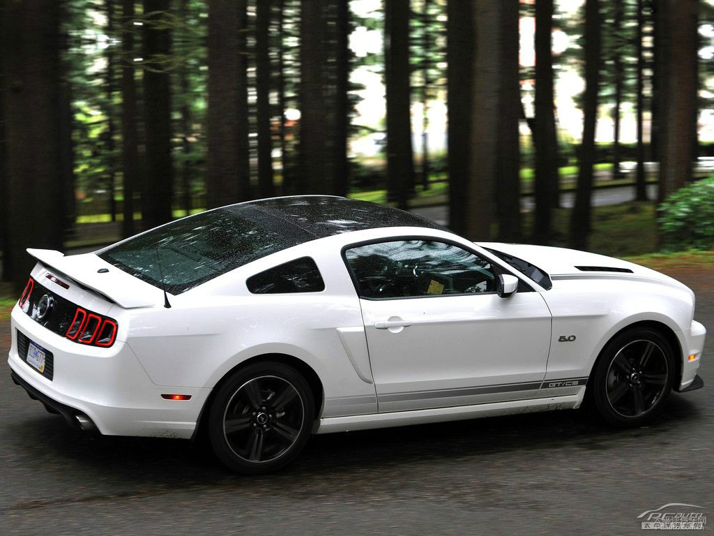 ܰ׸Mustang^DƬ