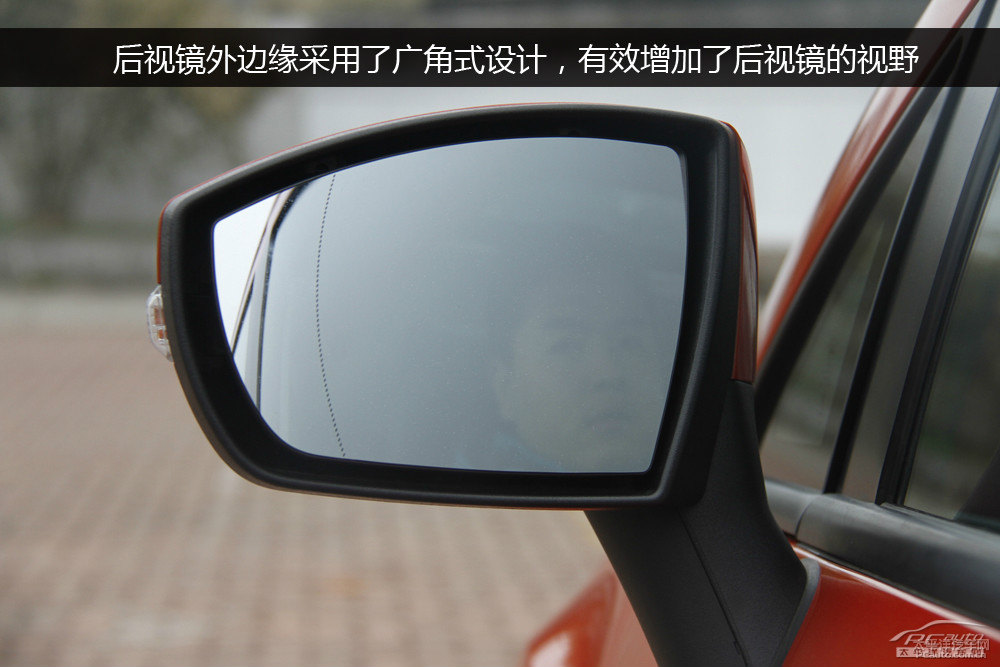翼搏圖片