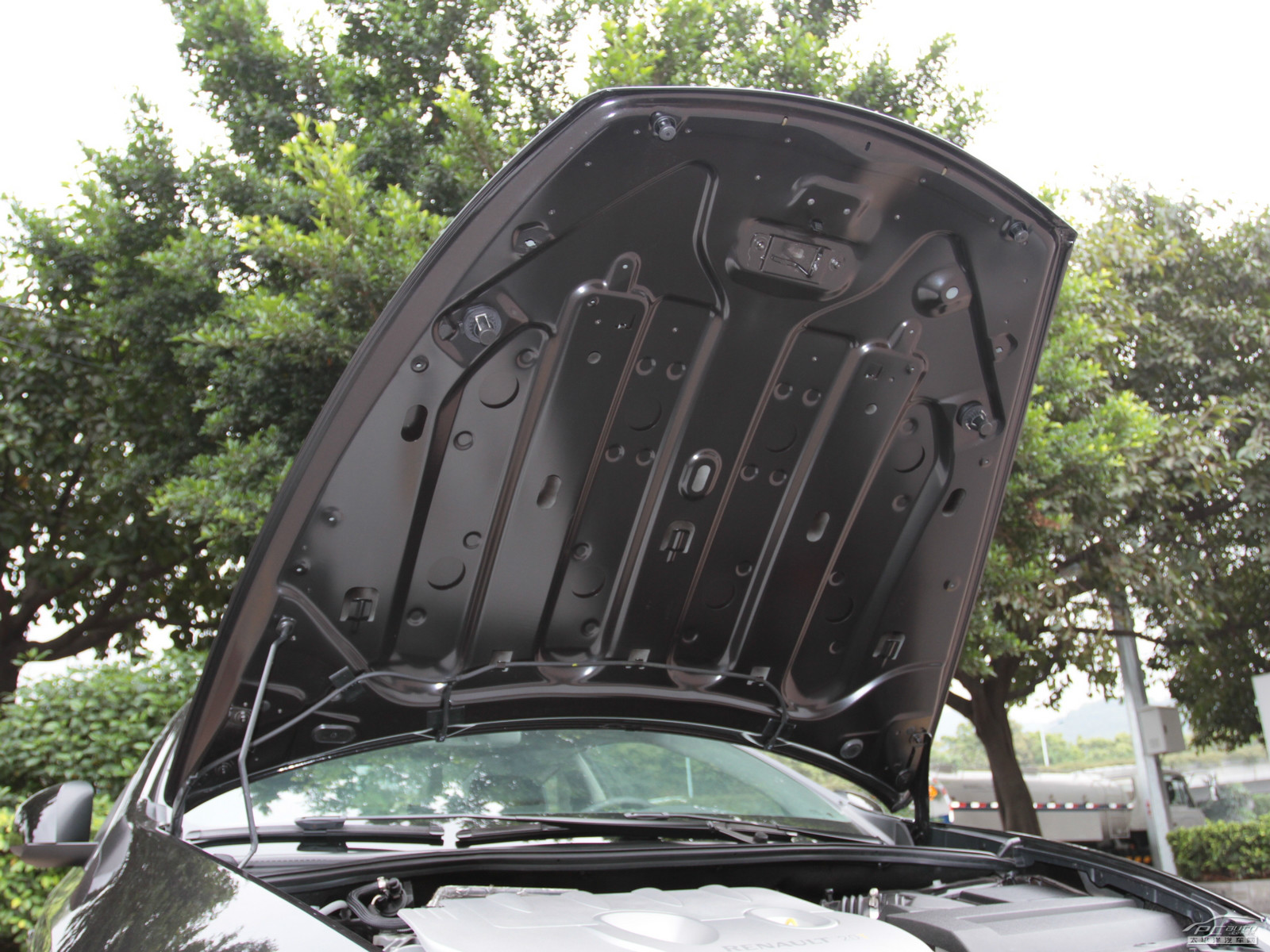 拉古那細(xì)節(jié)高清大圖