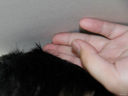 2013 1.8T AT F (gu)IV