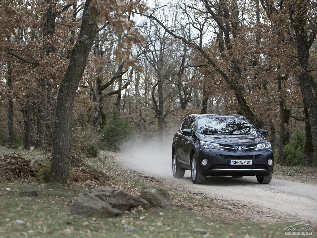 豐田RAV4(海外)外觀高清大圖