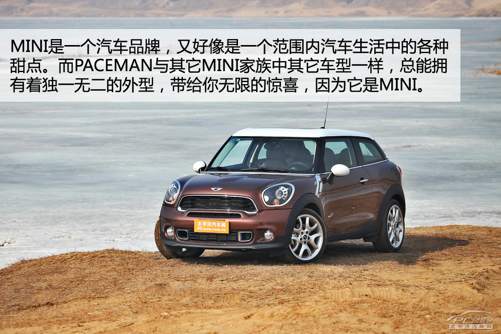 MINI PACEMAN圖解高清大圖