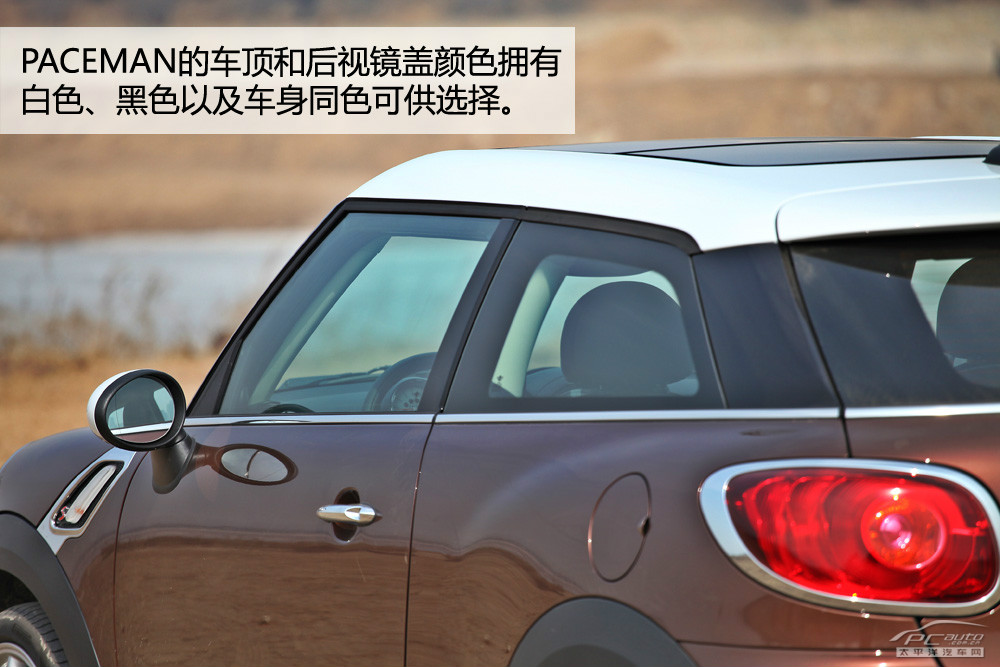 MINI PACEMAN圖解高清大圖