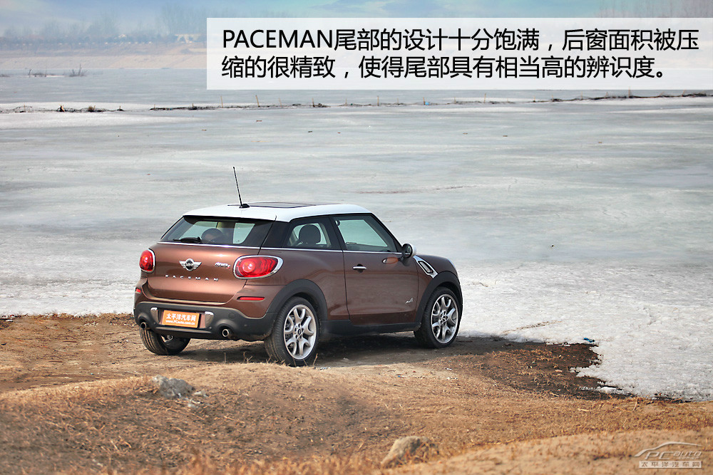 MINI PACEMAN圖解高清大圖