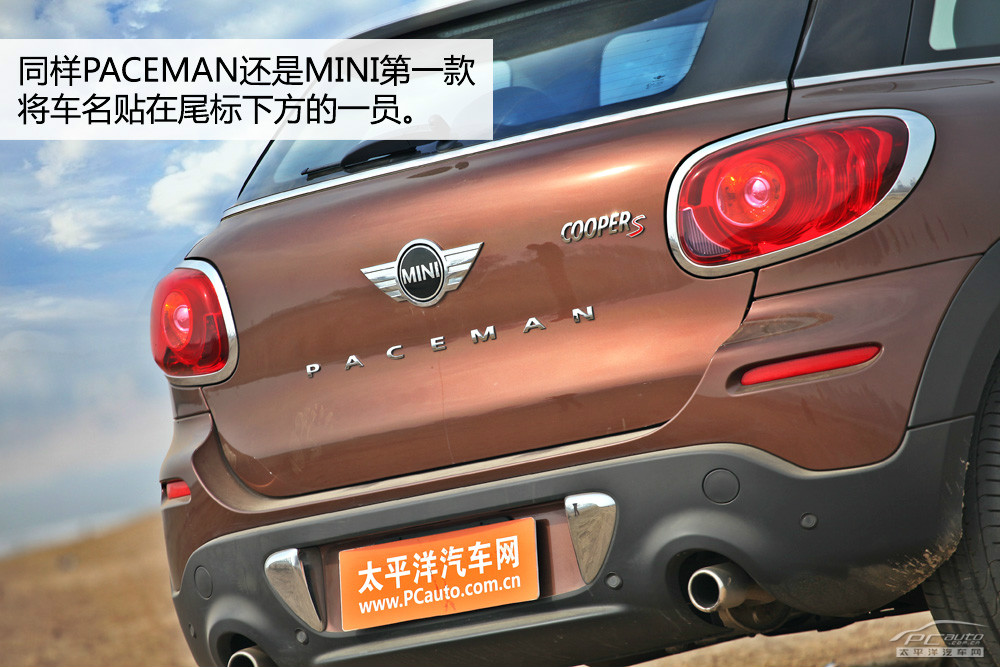 MINI PACEMAN圖解高清大圖