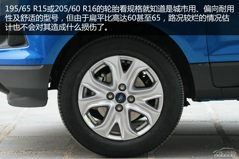 翼搏圖片