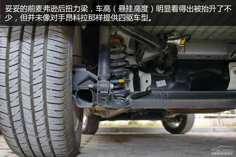 翼搏圖片