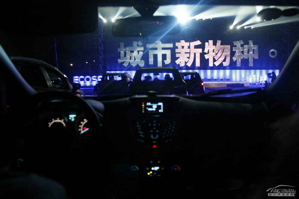 翼搏圖片