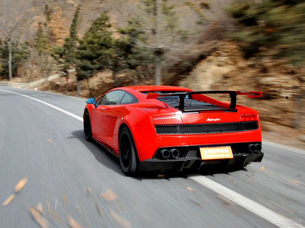 tɫwGallardo^DƬ