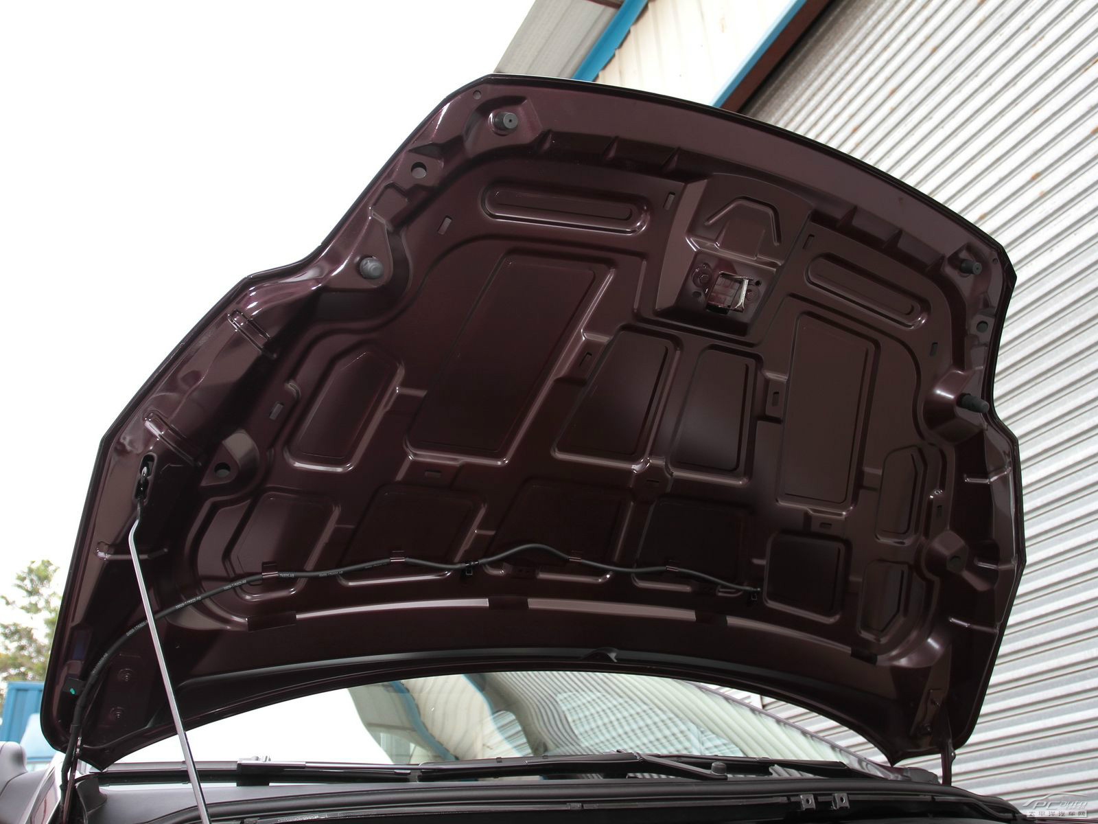 福克斯細(xì)節(jié)高清大圖