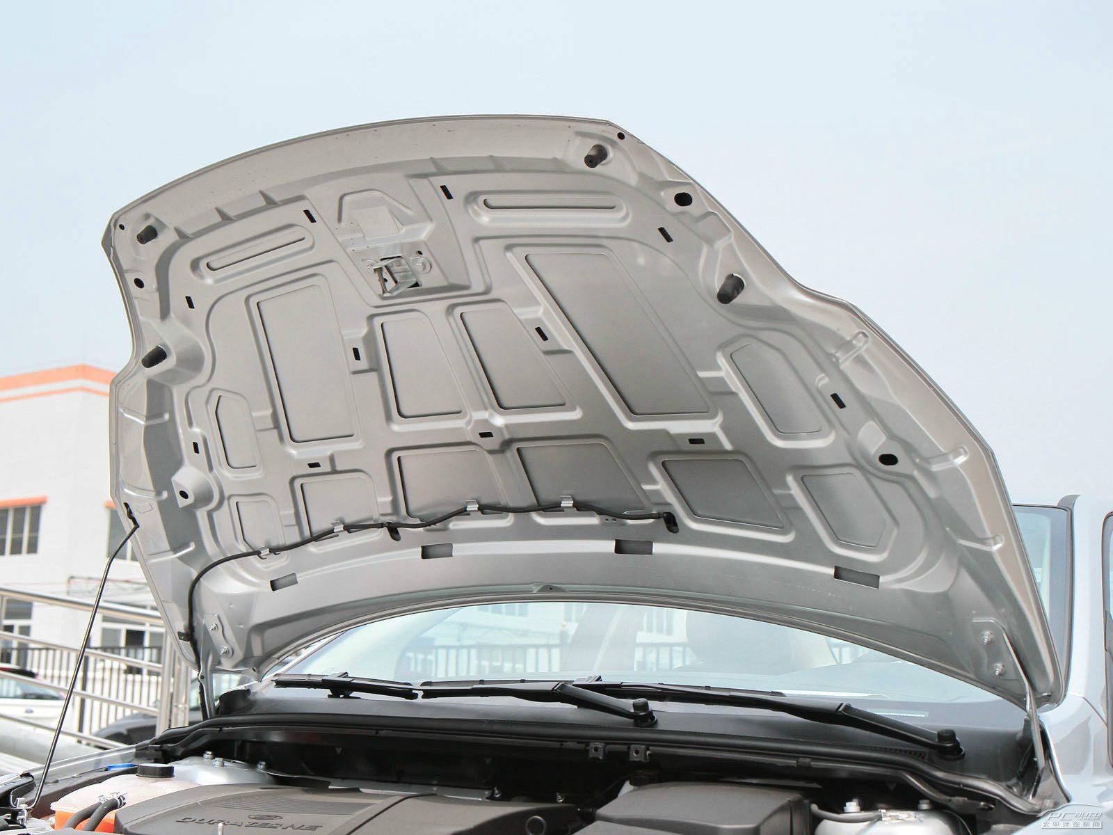 福克斯細(xì)節(jié)高清大圖