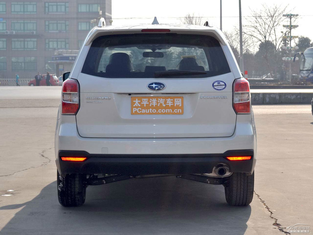 珍珠綢緞白森林人整車外觀外觀圖片