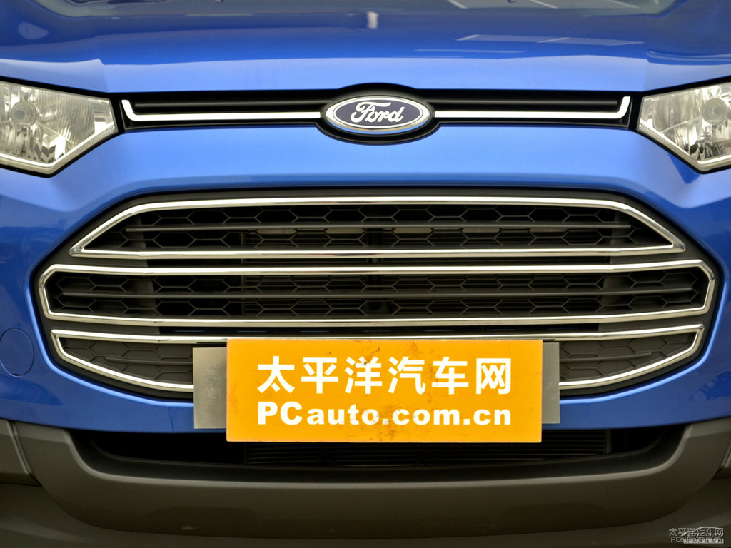 情調(diào)藍(lán)翼搏車頭外觀圖片