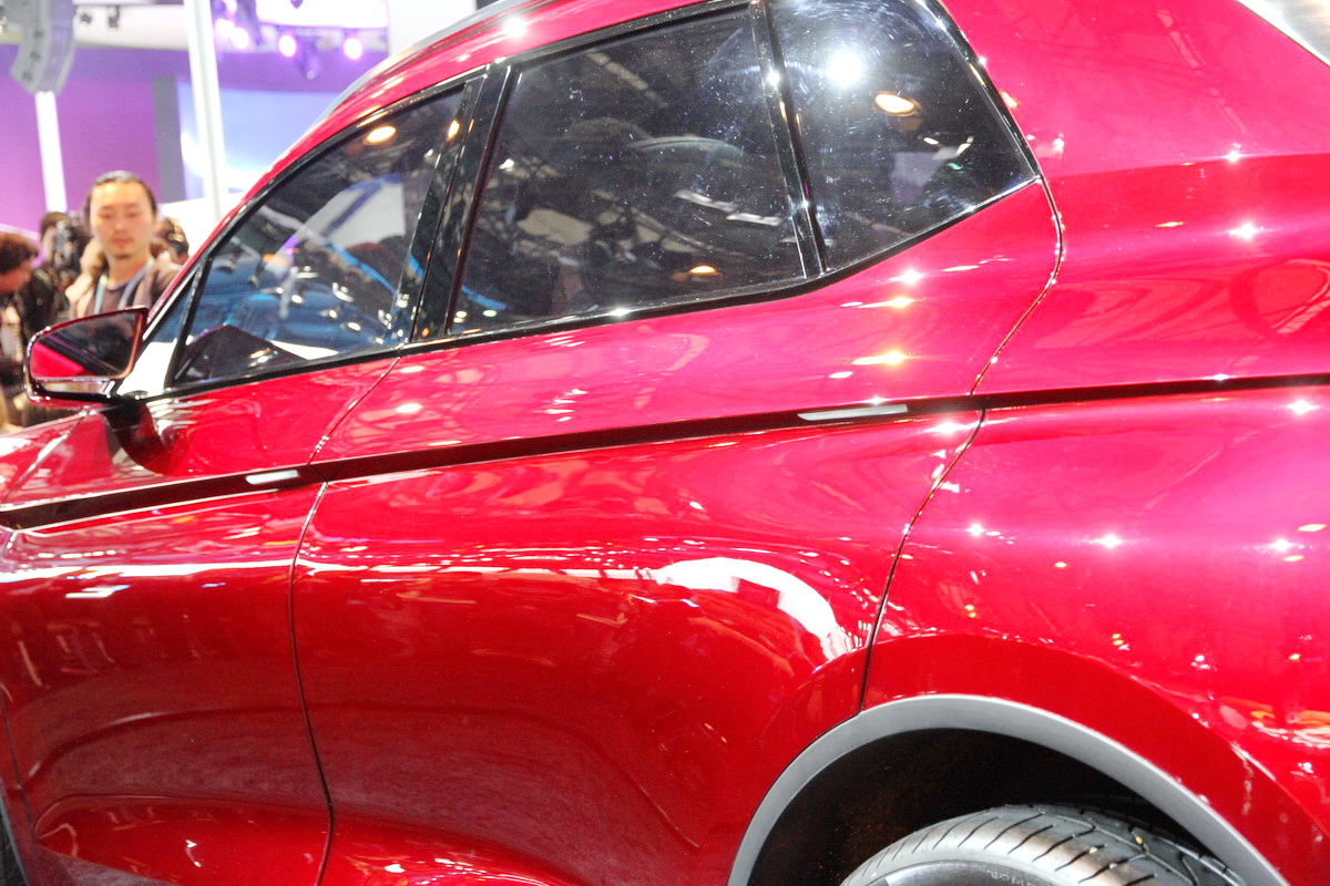 DS Wild Rubis車展高清大圖