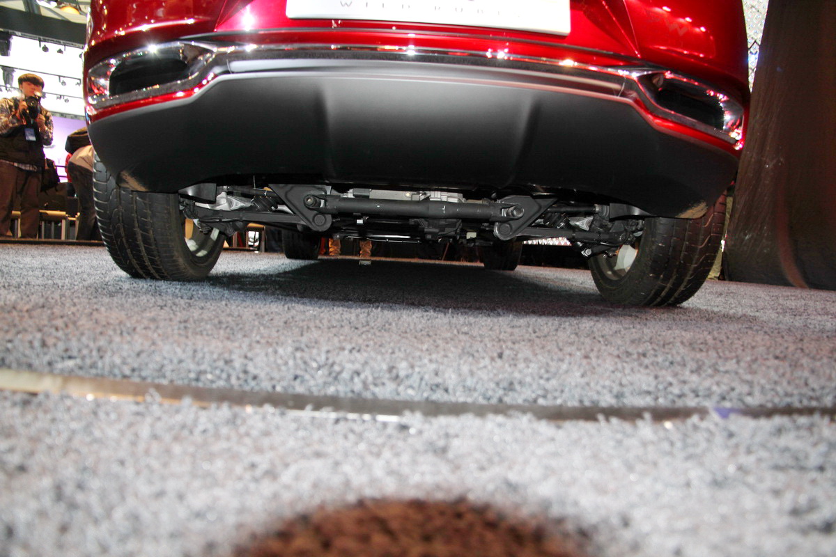 DS Wild Rubis車展高清大圖