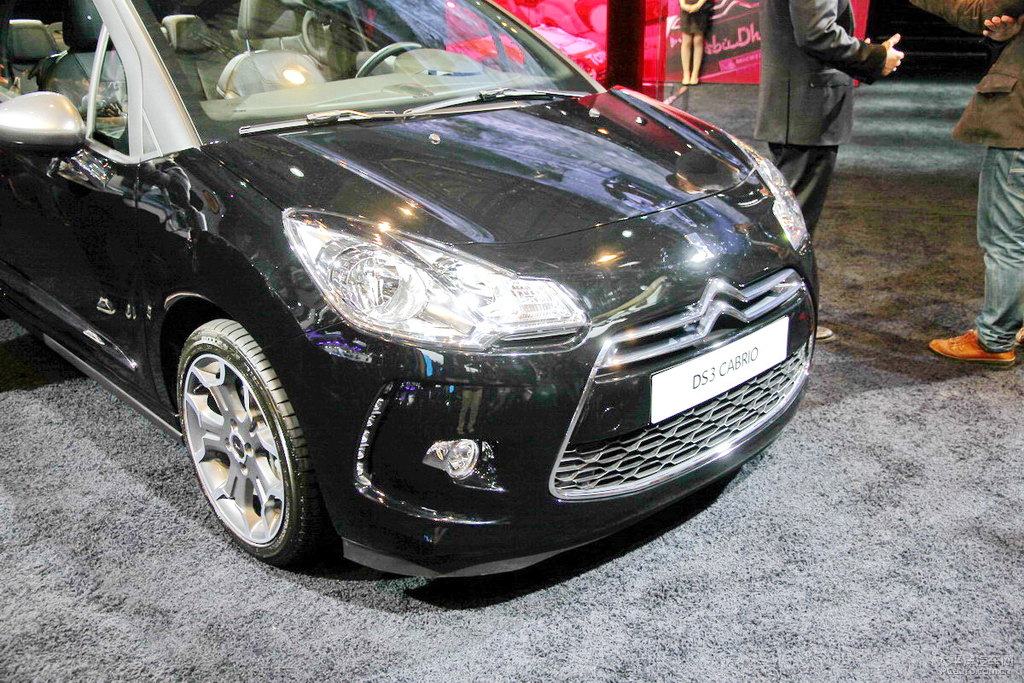 DS 3DƬ