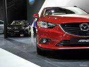 2013 2.0L (bio)(zhn)