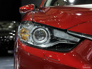 2013 2.0L (bio)(zhn)