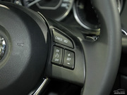 2013 2.0L (bio)(zhn)