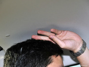 2013 2.0L (bio)(zhn)