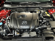 2013 2.0L (bio)(zhn)