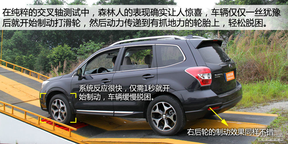 森林人圖片